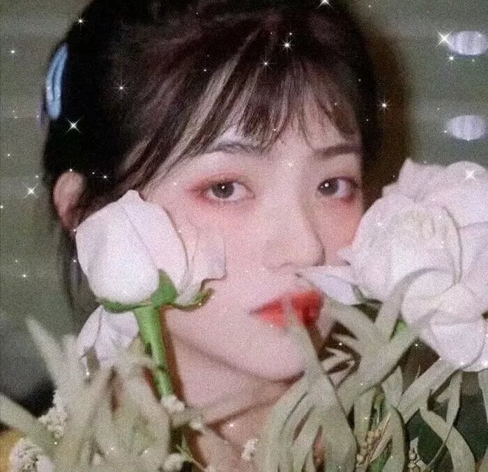 血染征途